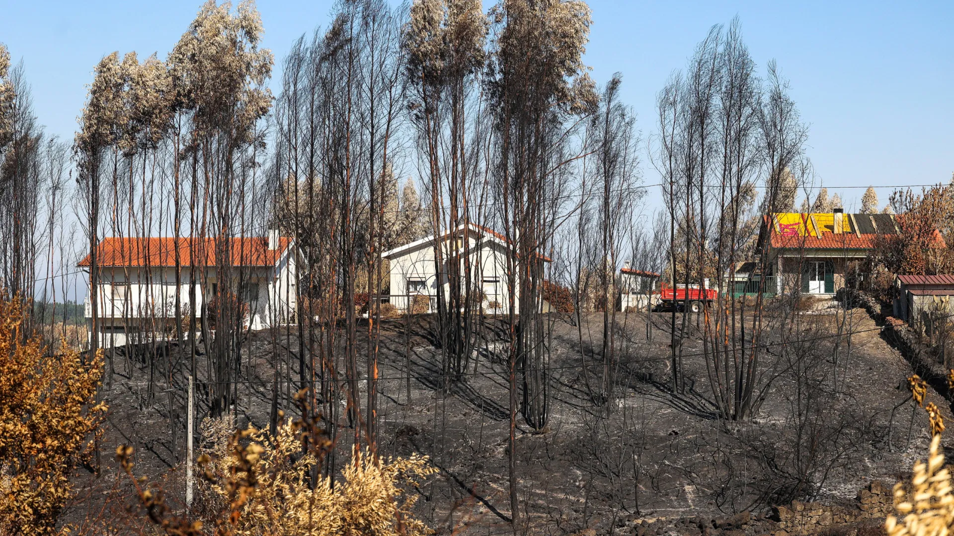 AR aprova medidas de apoio e mitigação do impacto dos incêndios rurais