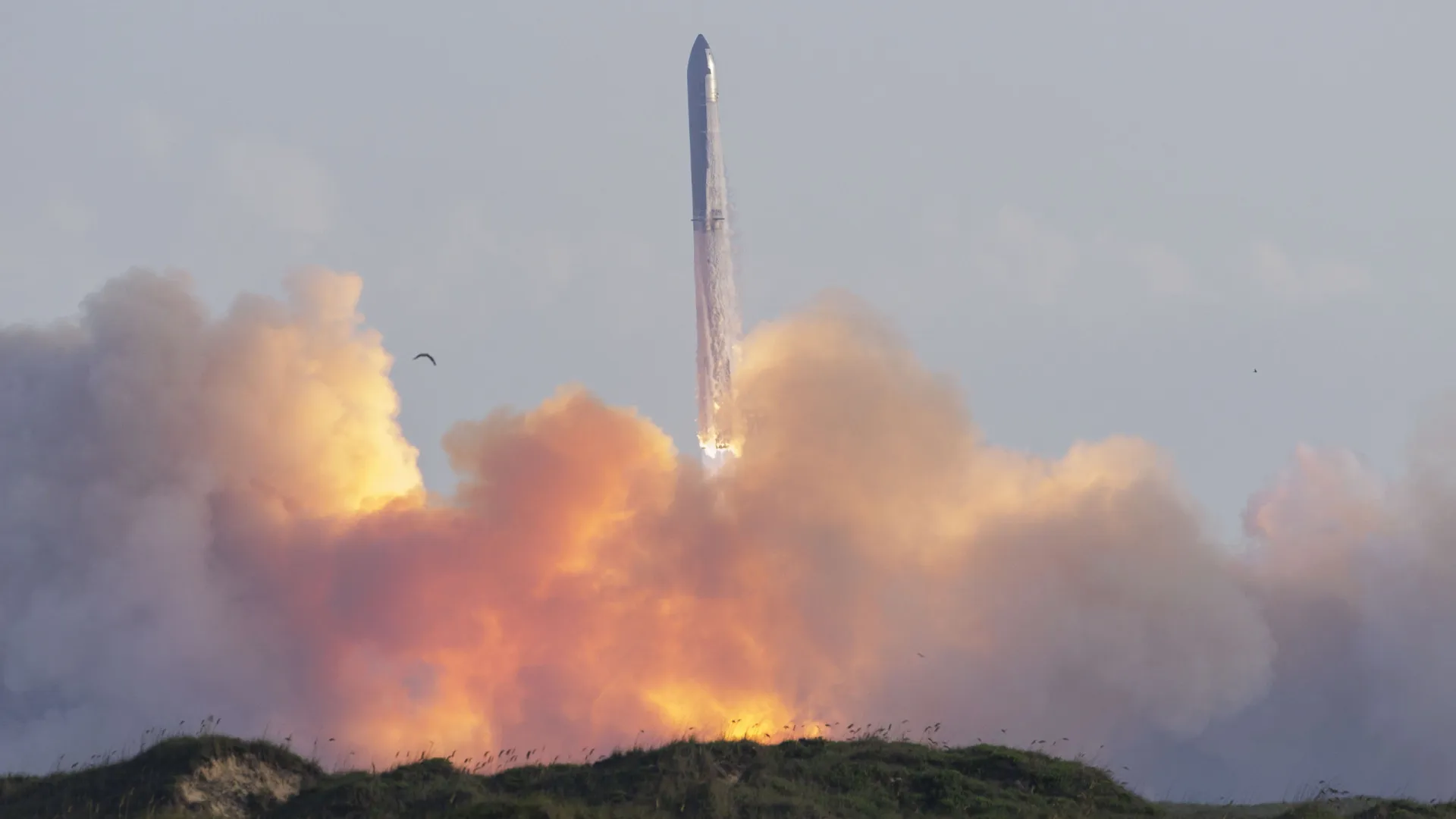 
                    SpaceX completa com sucesso 11.º lançamento do foguetão Starship
                