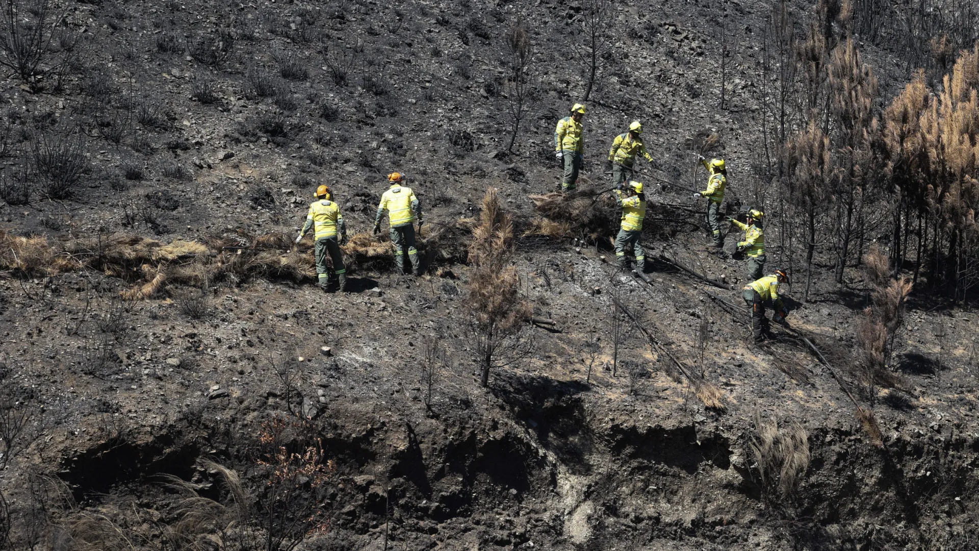 
                    Incêndios: Intervenções emergentes custam 3,7 milhões de euros
                