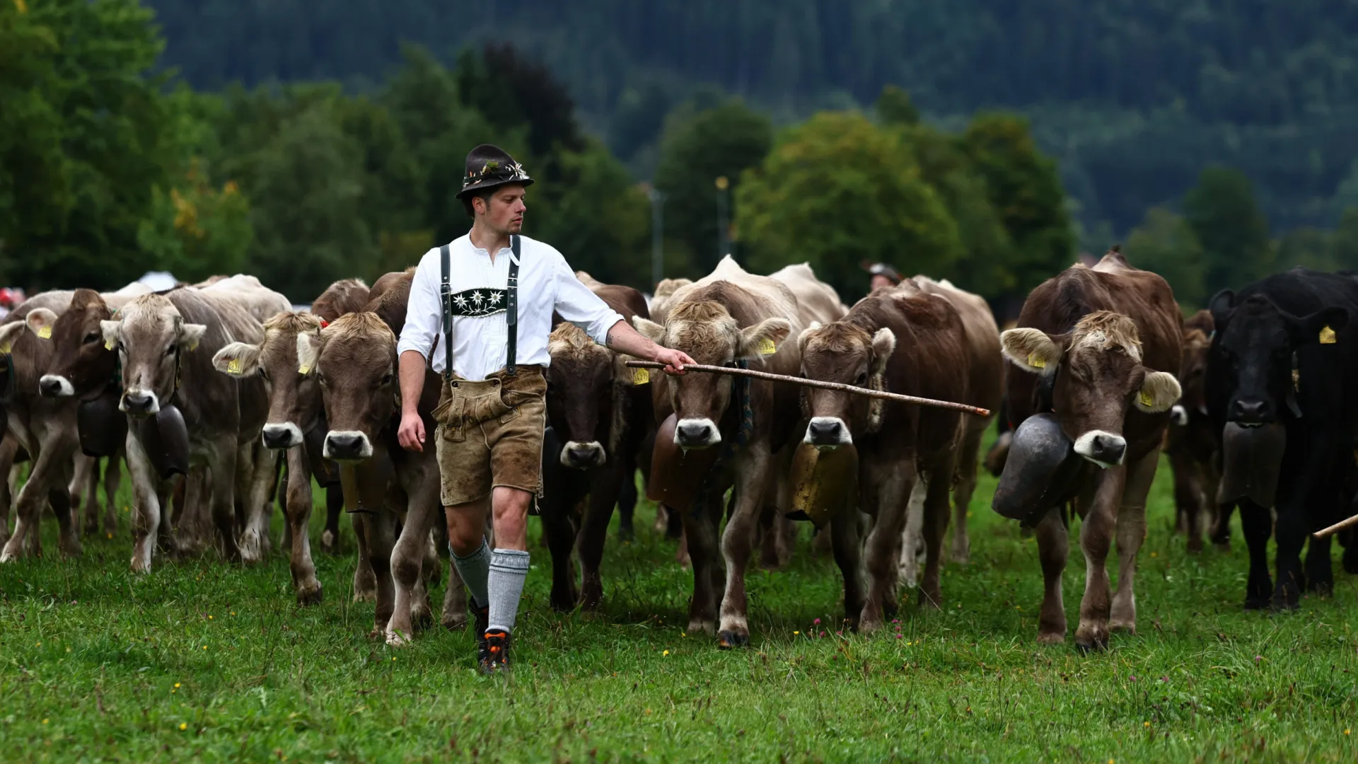 
                    Bruxelas quer fechar acordo UE-Mercosul “o mais rápido possível”
                