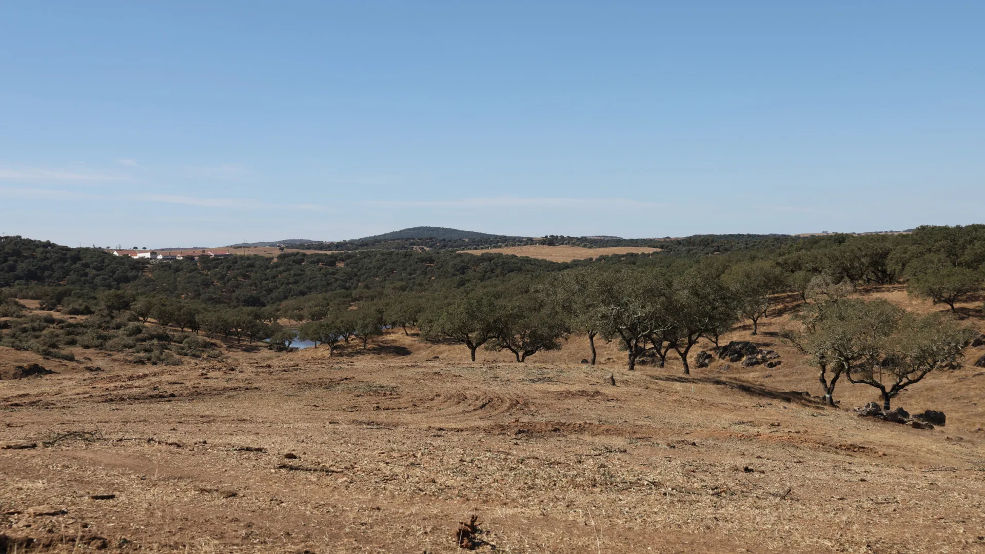 
                    Alentejo e Madeira abaixo do crescimento real do PIB registado em 2024
                