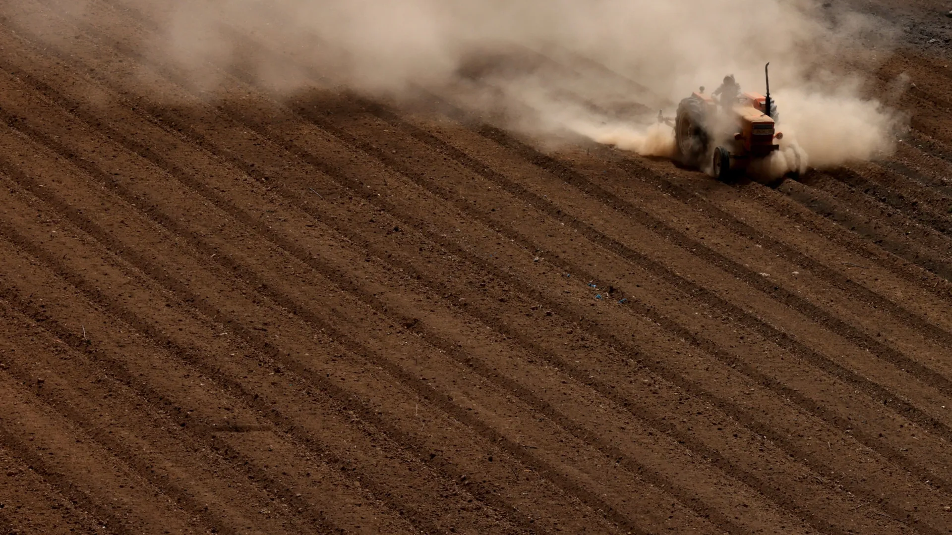 
                    Comissão Europeia propõe 293,7 mil milhões a agricultores da UE
                