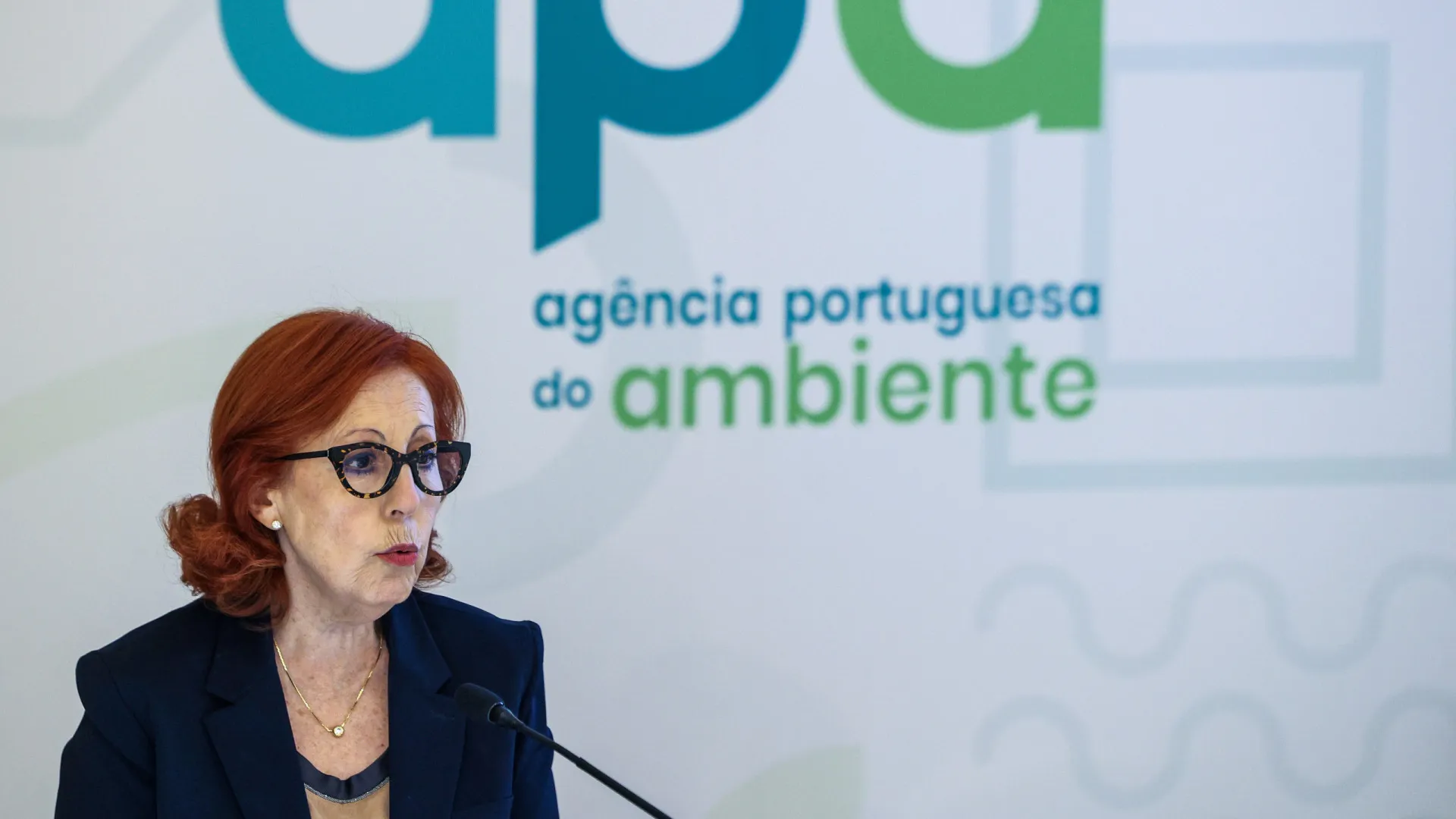 Ministra do Ambiente nega intenção de