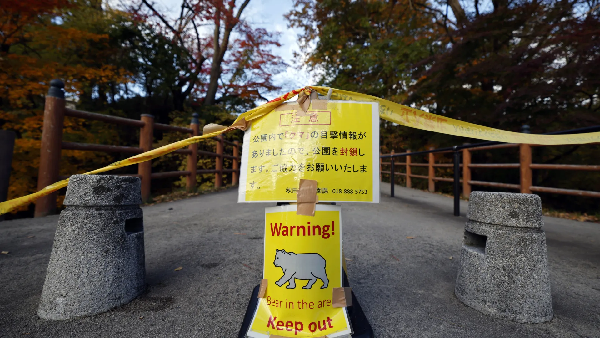 
                    Japão regista este ano máximo histórico de 230 ataques de ursos e 13 mortos
                