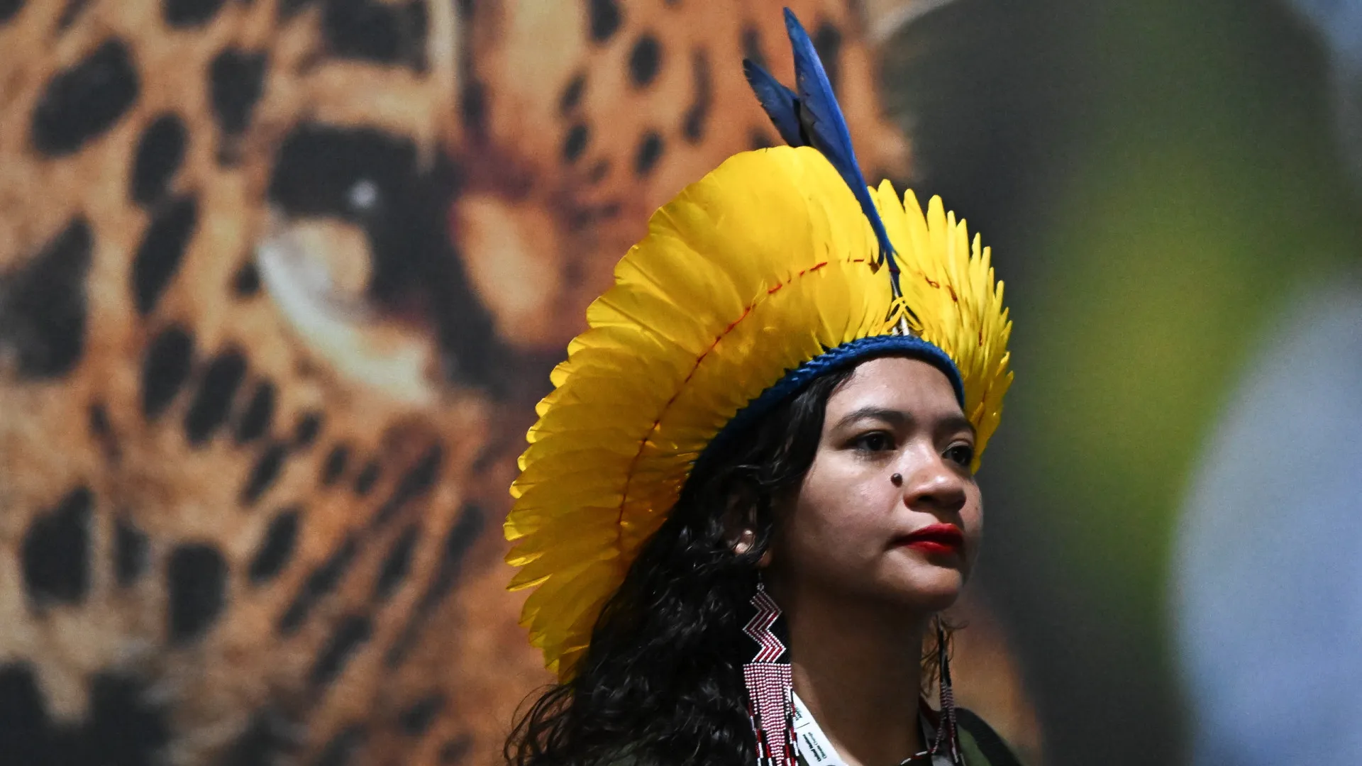 
                    Aprovado projeto final do COP30 sem menção às energias fósseis
                