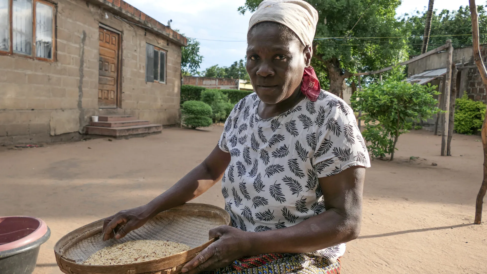
                    Badjias resistem a crises sociais e alimentam famílias em Maputo
                