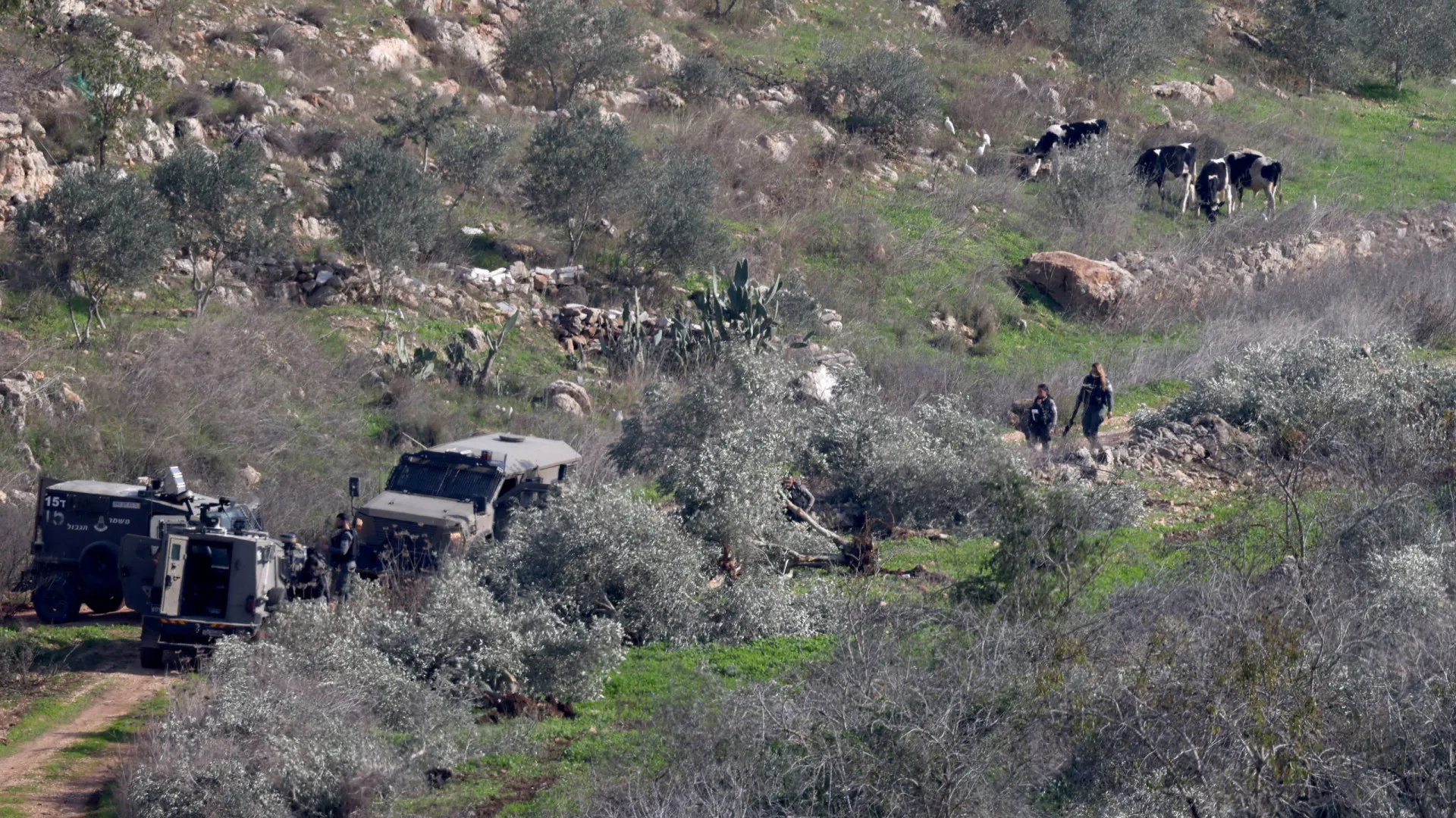 
                    Catorze países apelam a Israel para 