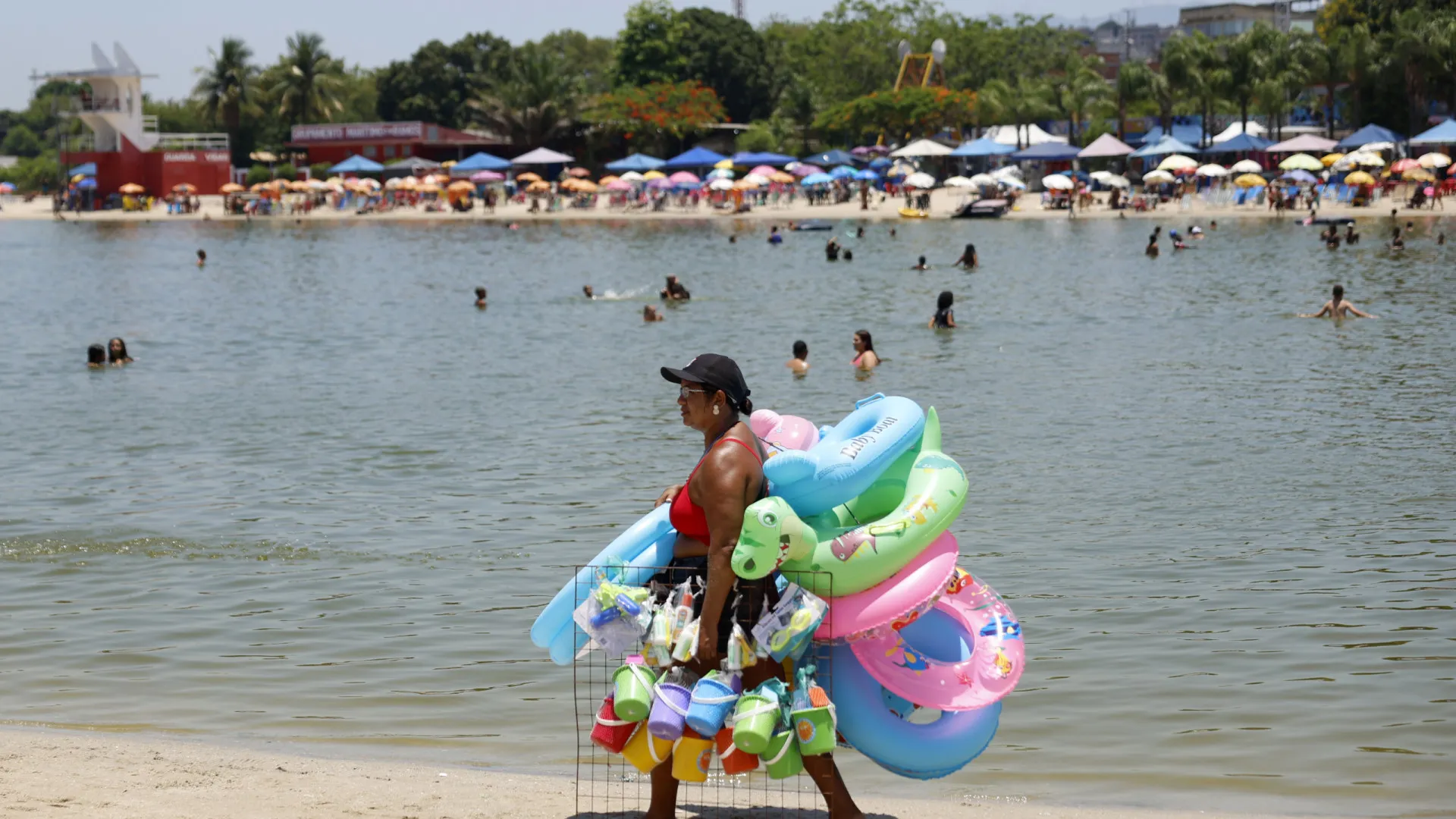 
                    Brasil termina 2025 com a taxa de desemprego mais baixa em 14 anos
                
