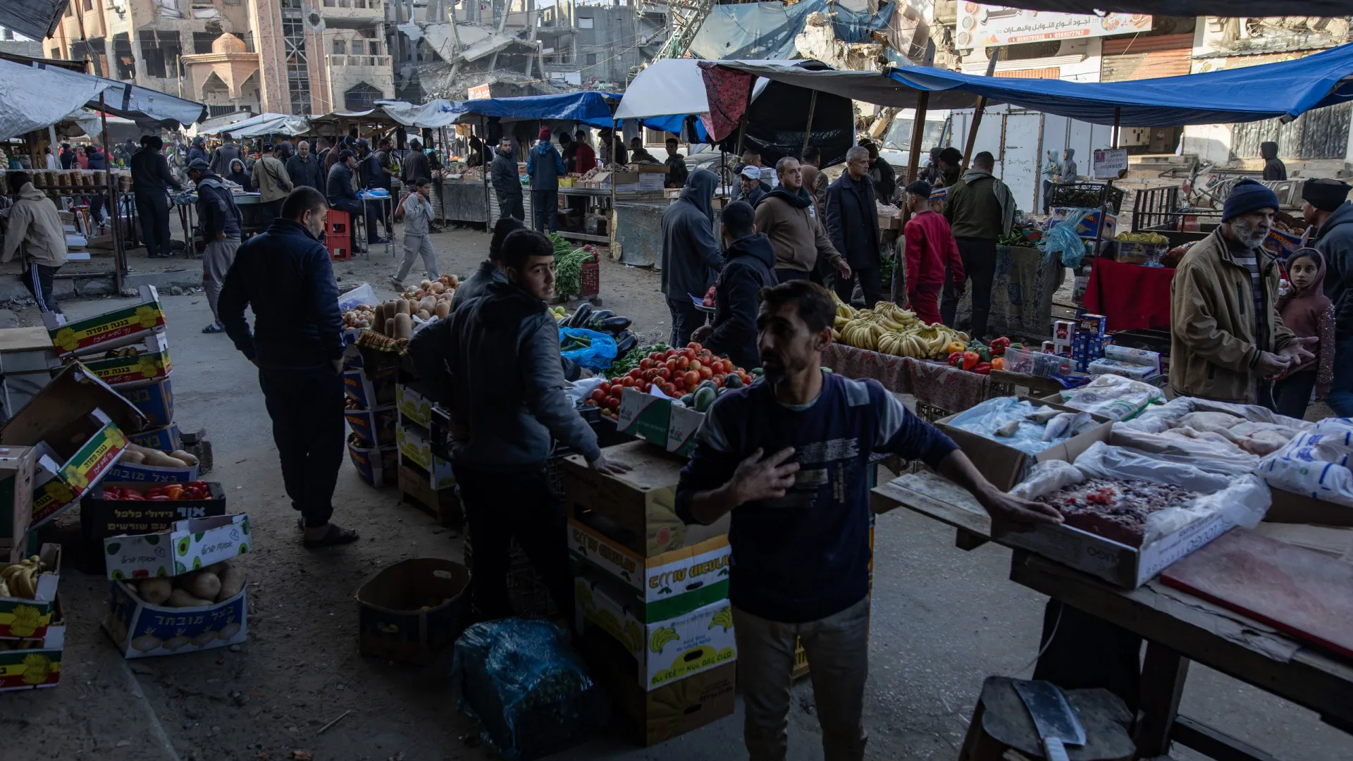 
                    Israel confirma proibição de acesso a Gaza de 37 organizações de ajuda
                