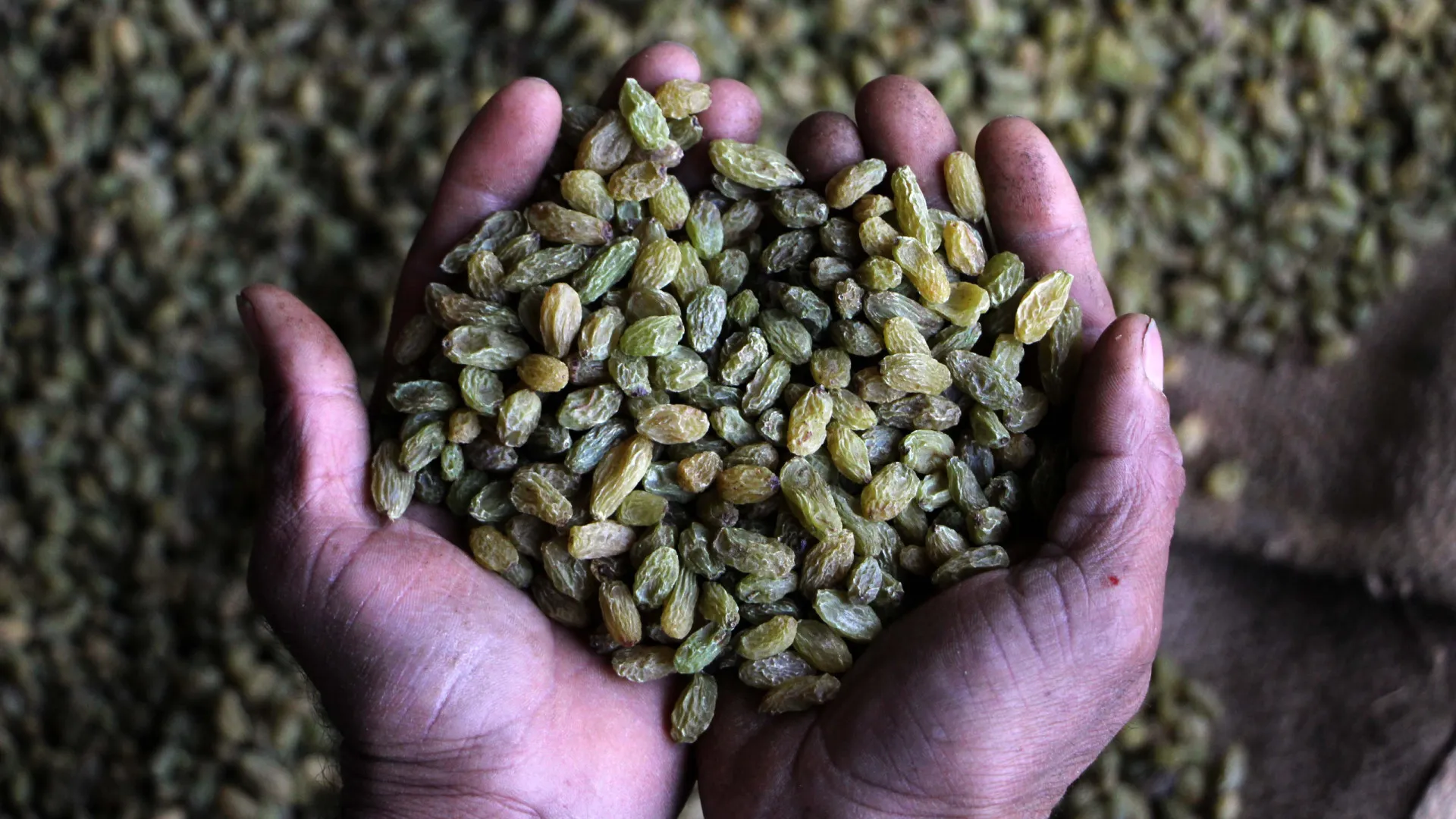 
                    Após cheias, Moçambique precisa de 26 mil toneladas de sementes
                