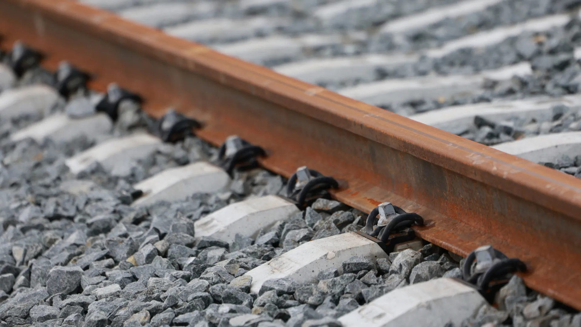 
                    Circulação suspensa na Linha do Leste devido a queda de barreira
                