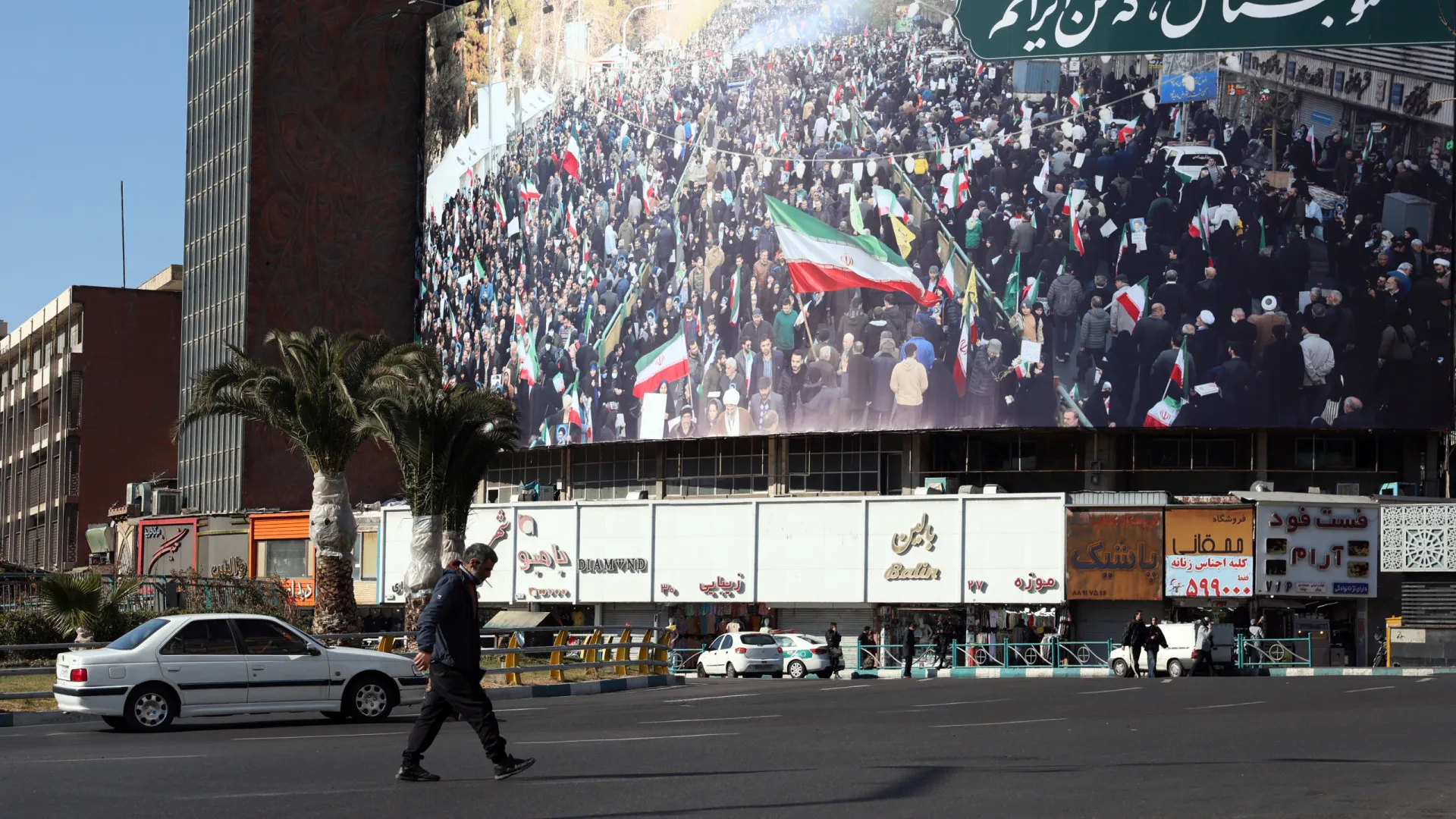 
                    ONG dá conta de recuperação 