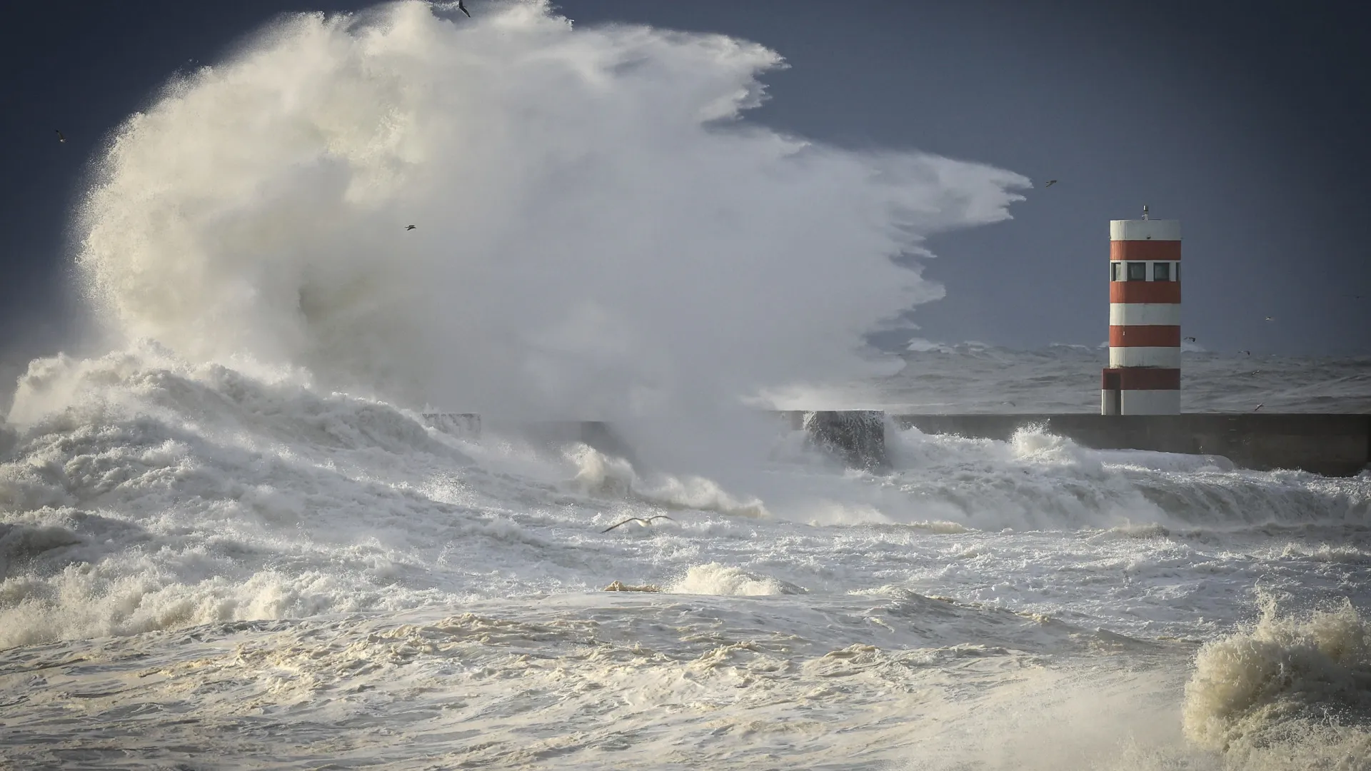
                    Agitação deixa dez distritos a vermelho: Ondas poderão atingir 15 metros
                