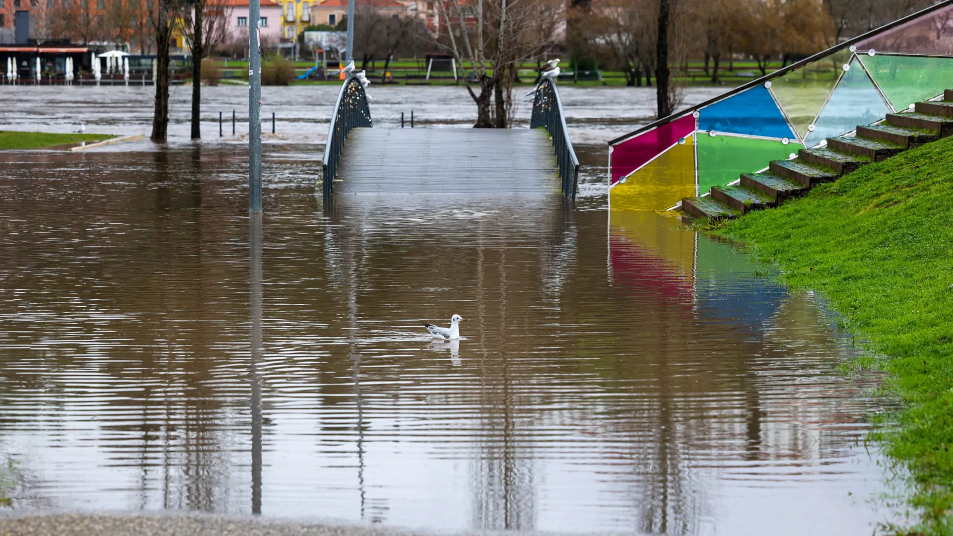 
                    Autoridades avisam para perigo de cheia no vale do Mondego
                