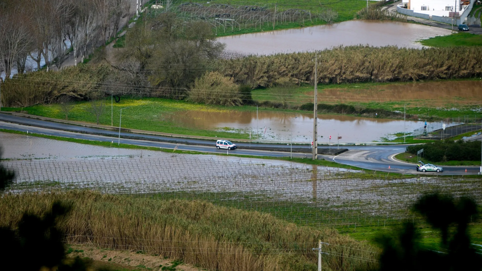 
                    Ministro da Agricultura anuncia 40 milhões em apoios devido ao mau tempo
                