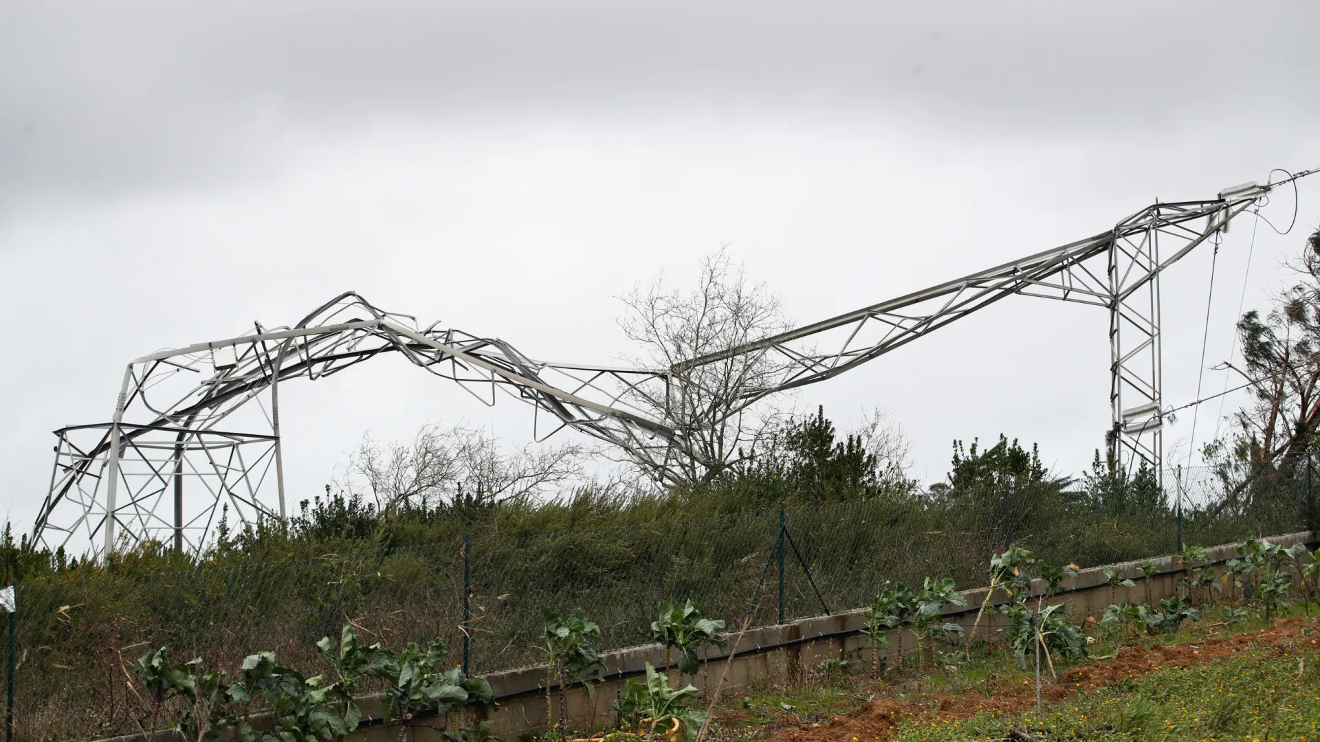 
                    Ainda há cerca de 408 mil clientes da E-Redes sem energia 
                