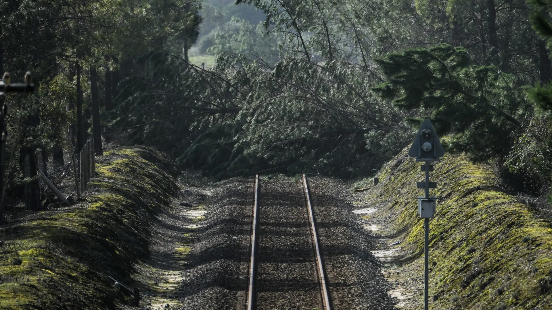 
                    Circulação cortada em troços das linhas do Minho, Norte, Douro e Oeste
                