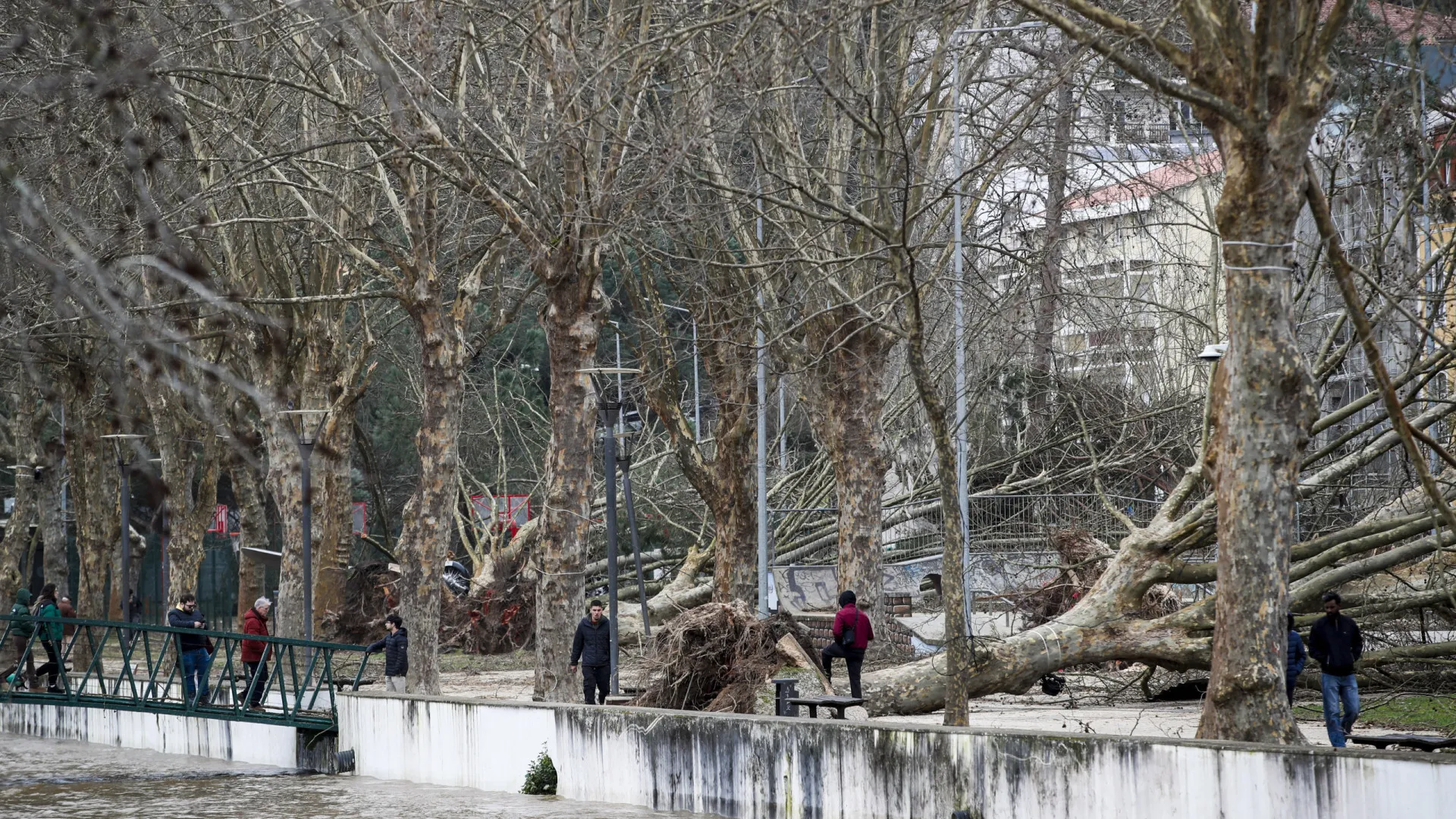 
                    Mulher de 85 anos morre em Silves após veículo ser arrastado para ribeiro
                