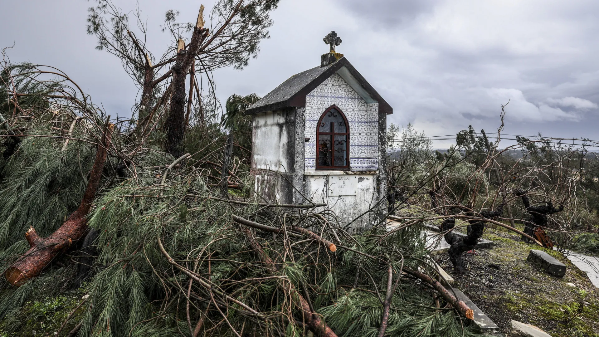 
                    Em Casal dos Bernardos procurou-se coveiro para funeral
                