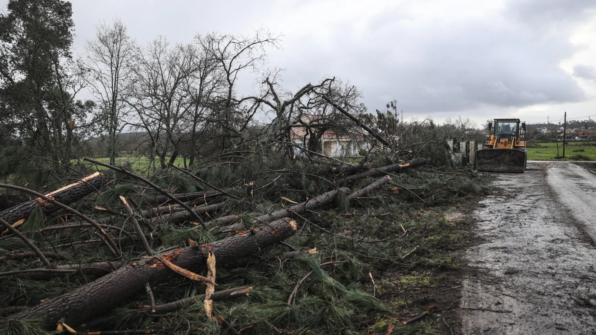 
                    CAP já recebeu indicações de prejuízos da ordem dos 130 milhões de euros
                