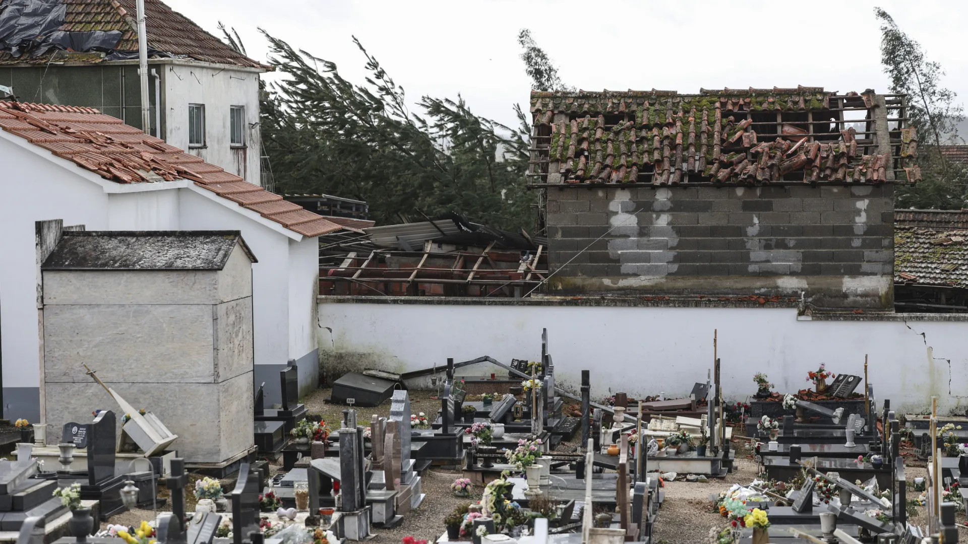 
                    Câmara de Ourém contabiliza 10 mil casas sem telhas
                