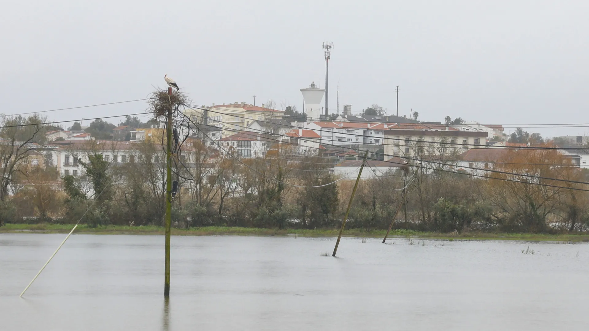 
                    Concelho de Soure regista 10 desalojados
                