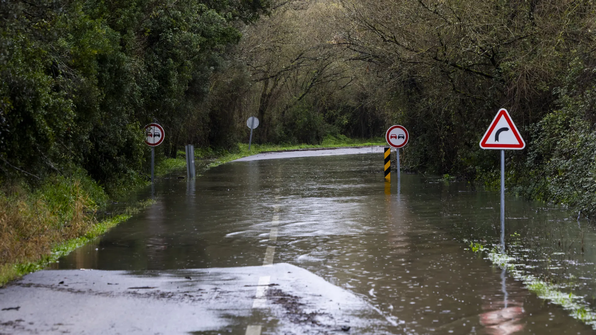 
                    Cerca de 50 estradas estão condicionadas no distrito de Santarém
                
