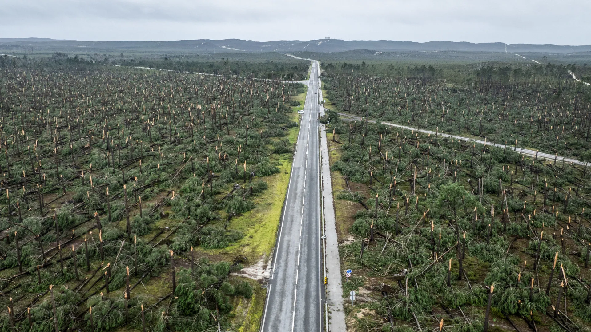 
                    Governo lança até 400 milhões de euros para empresas do Centro
                