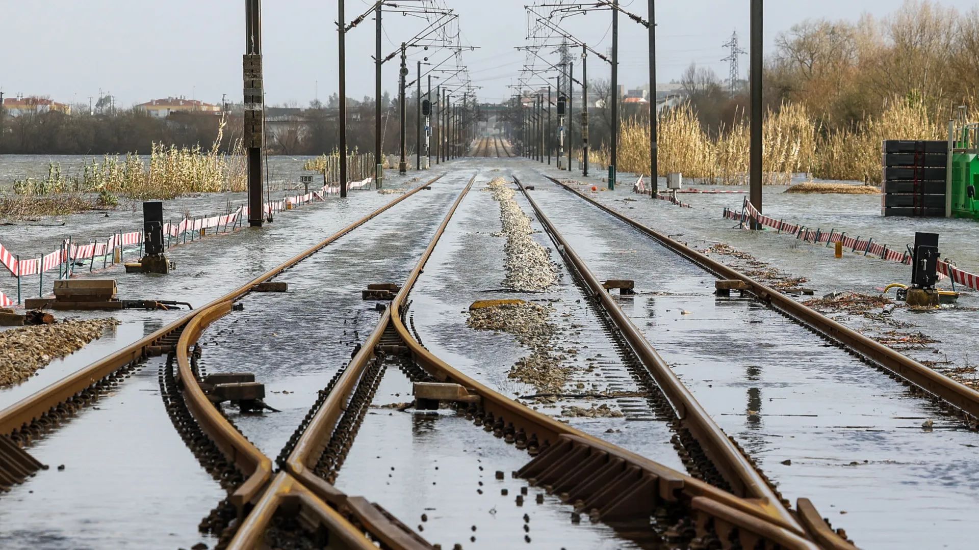 
                    Mau tempo suspende circulação ferroviária em troços de 6 linhas (às 13h)
                