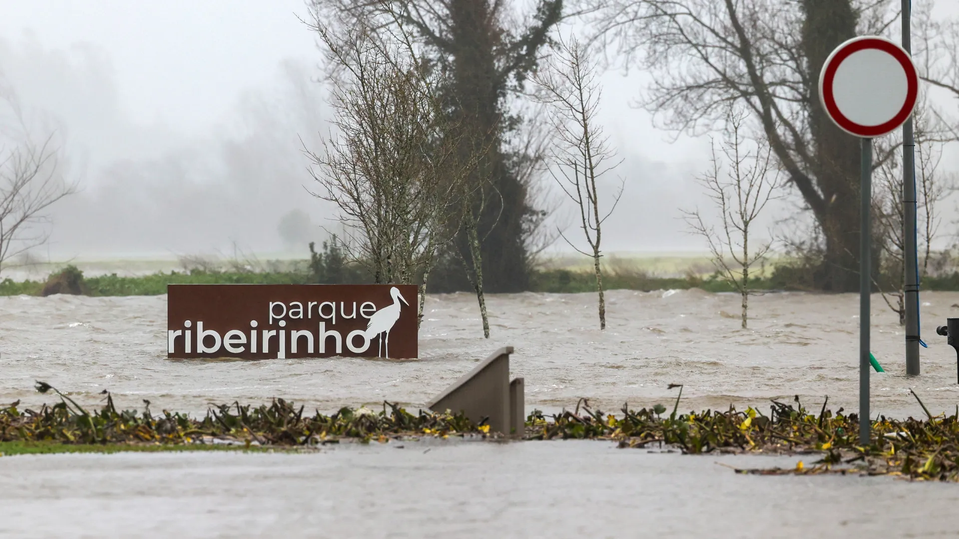 
                    Proteção Civil registava 150 ocorrências às 03h30
                