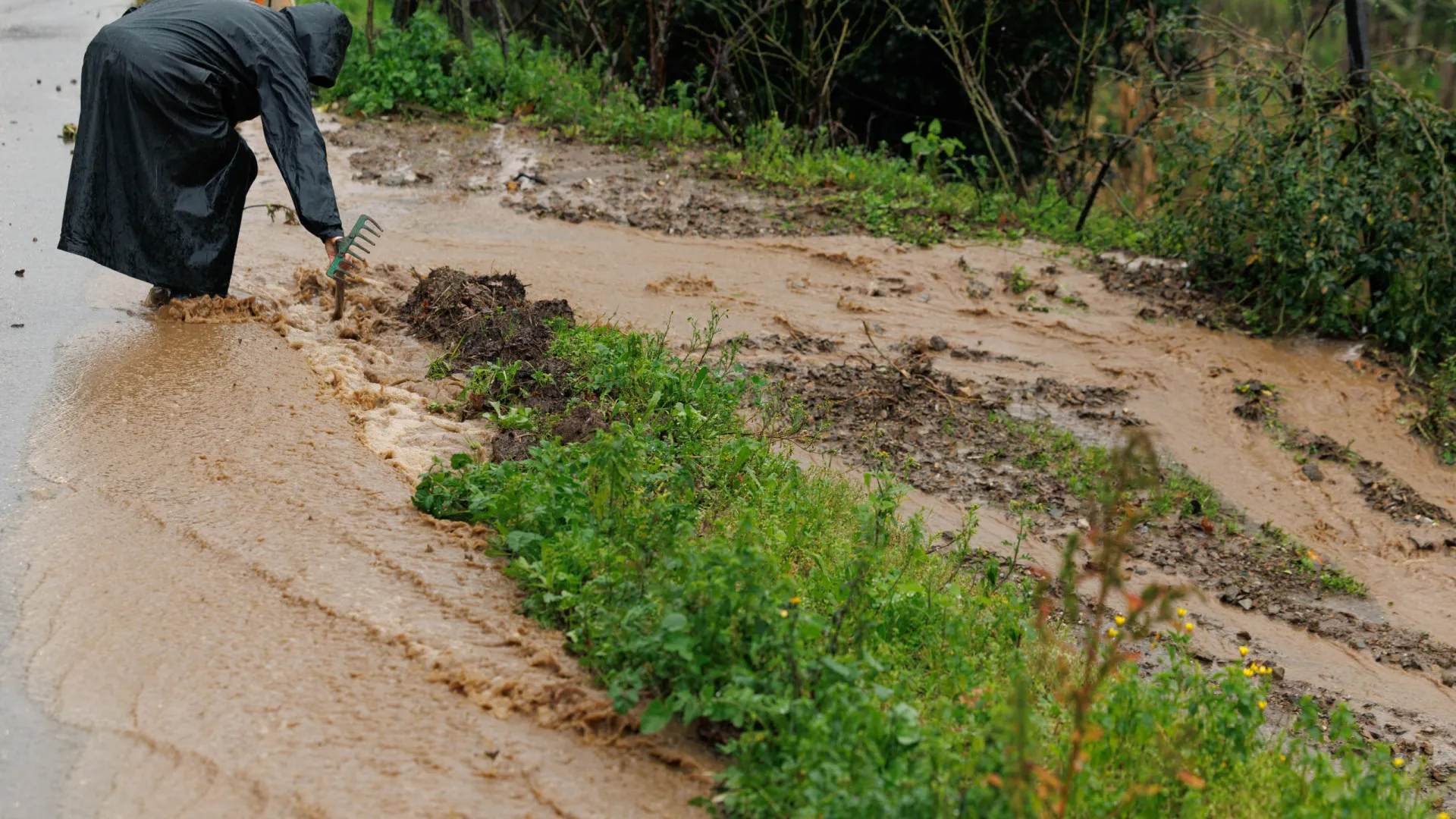 Aviso laranja de chuva estende-se a 7 distritos do Norte e Centro. Quais?