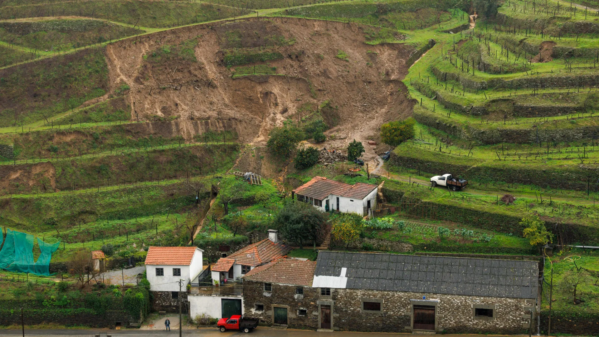 
                    Mais de 300 milhões de euros em prejuízos reportados na agricultura 
                