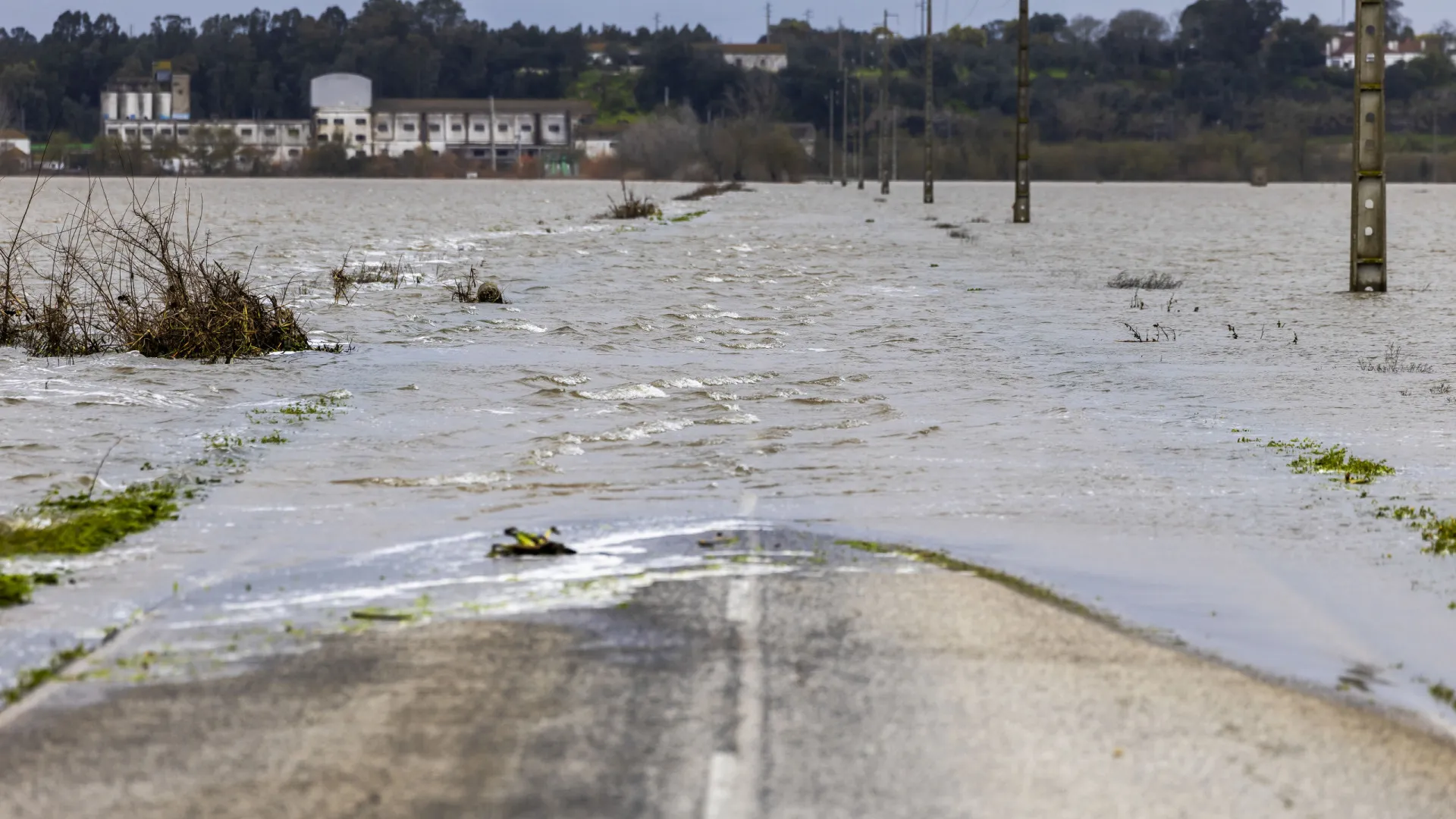 
                    Alerta de cheias no rio Tejo desce de vermelho para amarelo
                