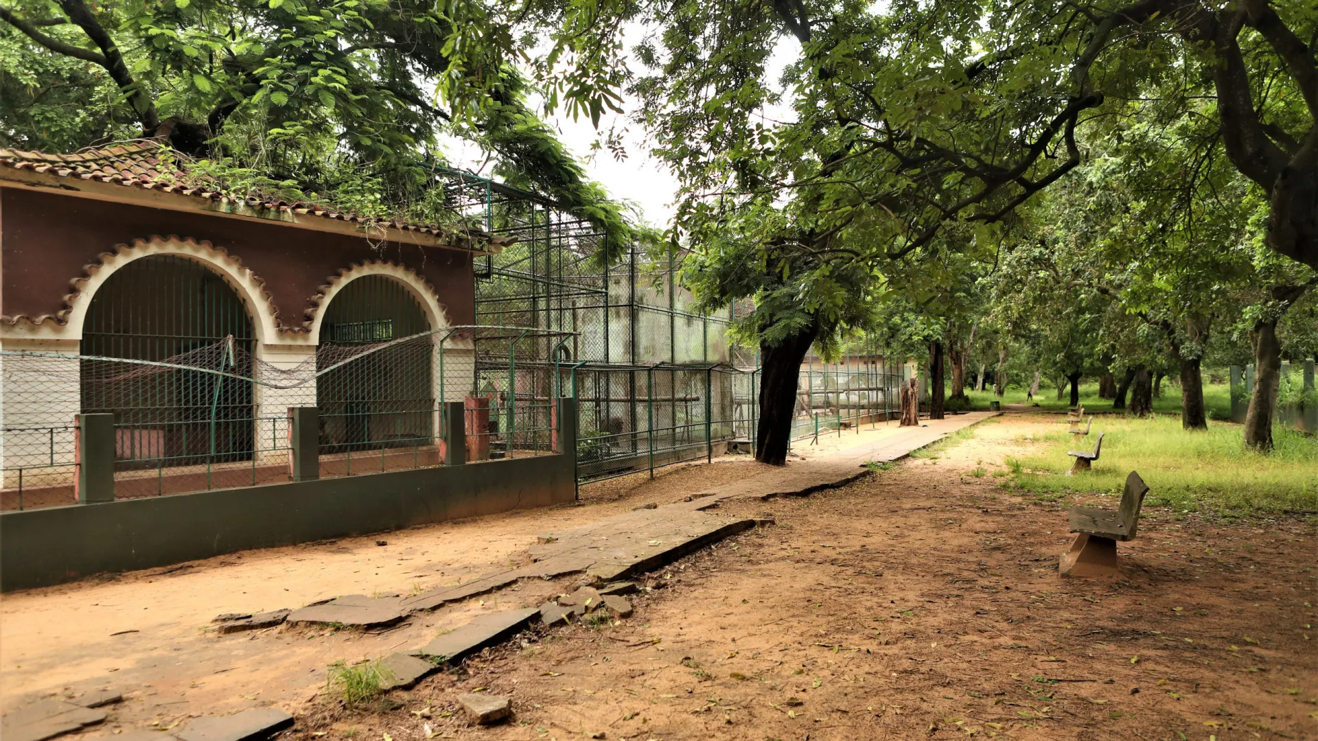 
                    Zoo quase centenário de Maputo procura investidores para nova cara
                