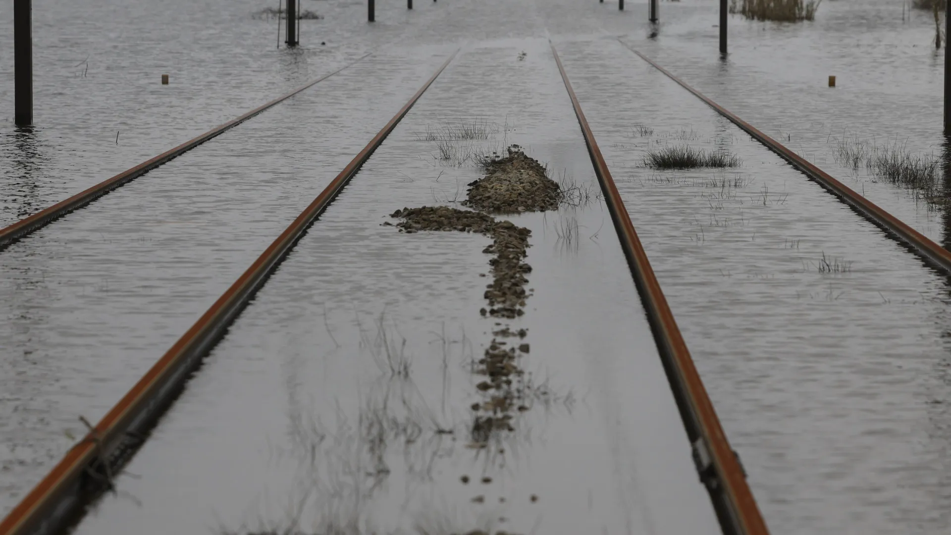 
                    Circulação na Linha do Alentejo já foi retomada entre Pegões e Bombel
                