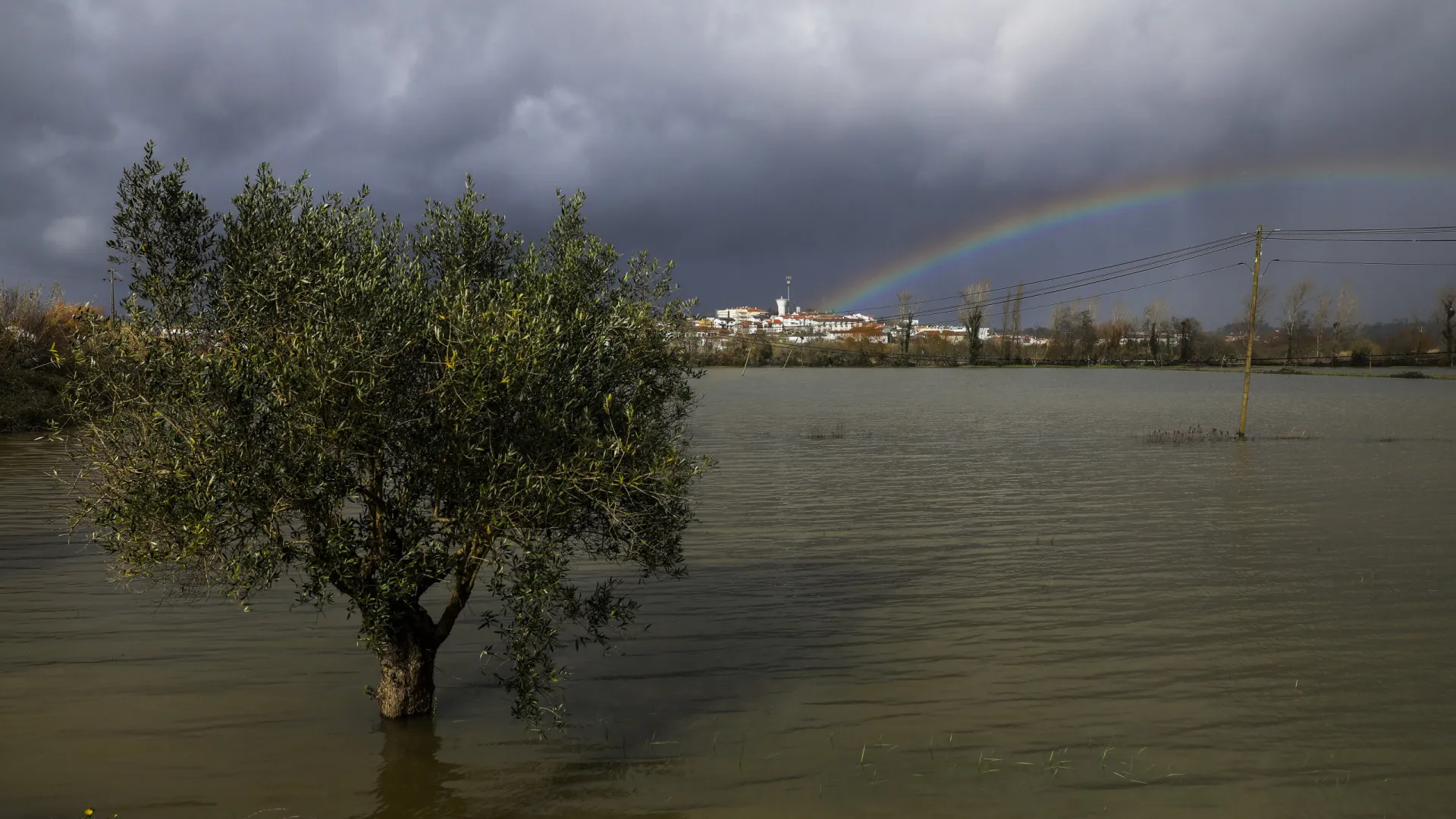 
                    Agricultura: Lisboa e Vale do Tejo com 107,9 milhões de prejuízos
                