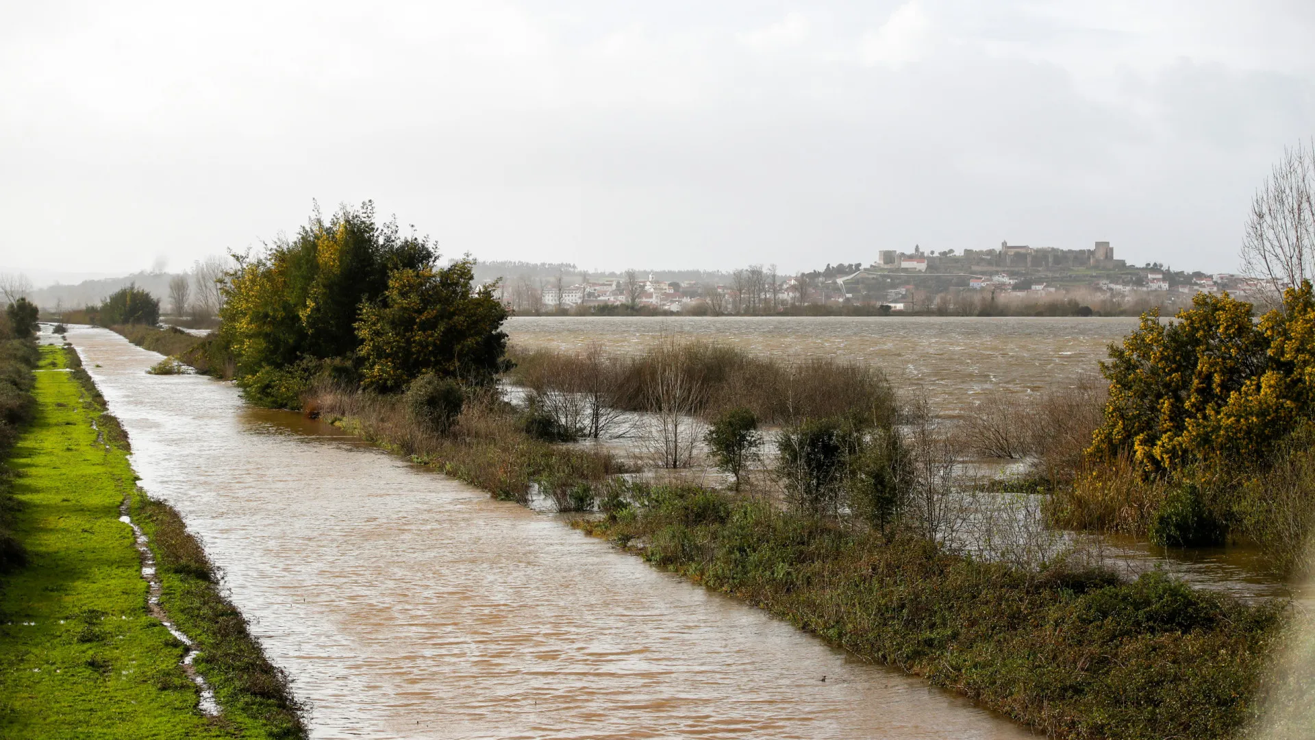 
                    Agricultores de Coimbra exigem reparação do canal de rega do Mondego
                