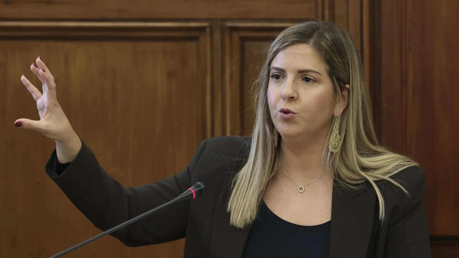 
                    Revisão de estatuto de profissionais da Cultura deve começar em abril
                