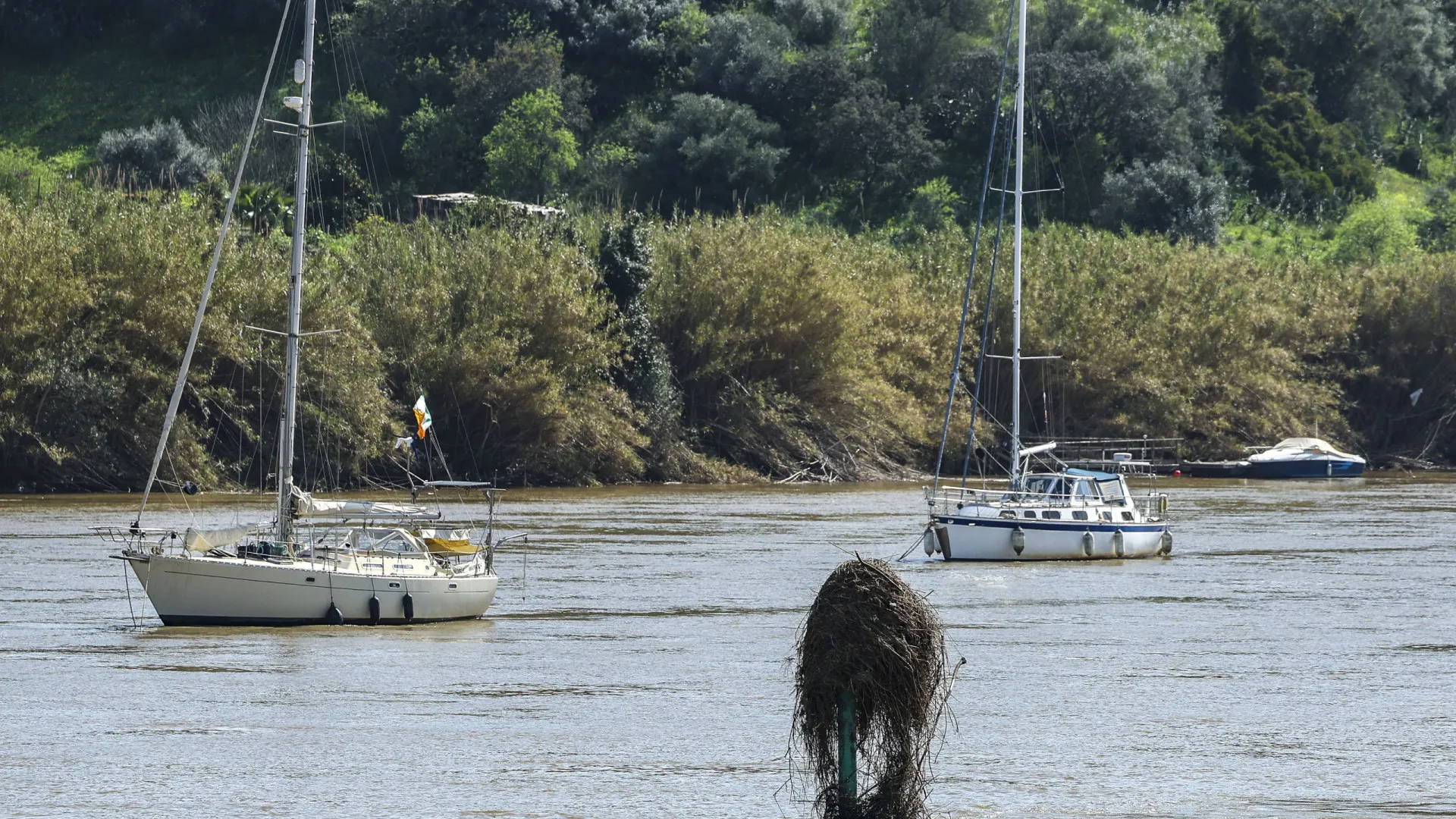 
                    Guadiana segue até foz sem se perceber danos causados por inundações
                