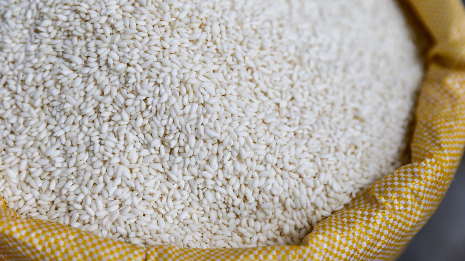 
                    Brasil envia medicamentos e 20.000 toneladas de arroz para Cuba
                