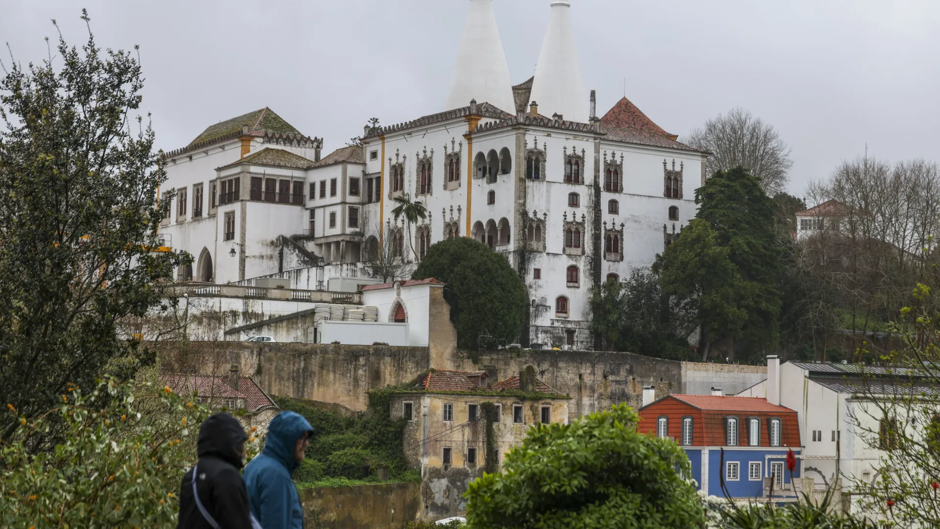 
                    Parques de Sintra aposta na qualificação nos monumentos
                