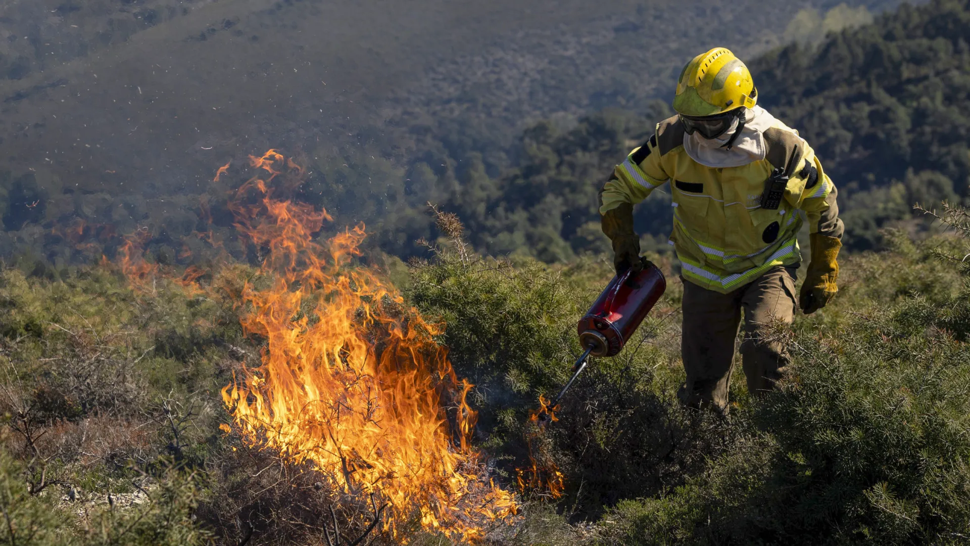 
                    Fogo controlado no inverno ajuda a travar incêndios e renova pastagens
                