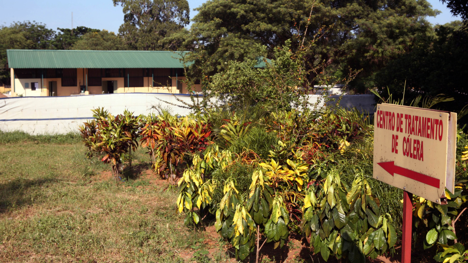 Quase 4.000 infetados e 62 mortos após surto de cólera em Moçambique