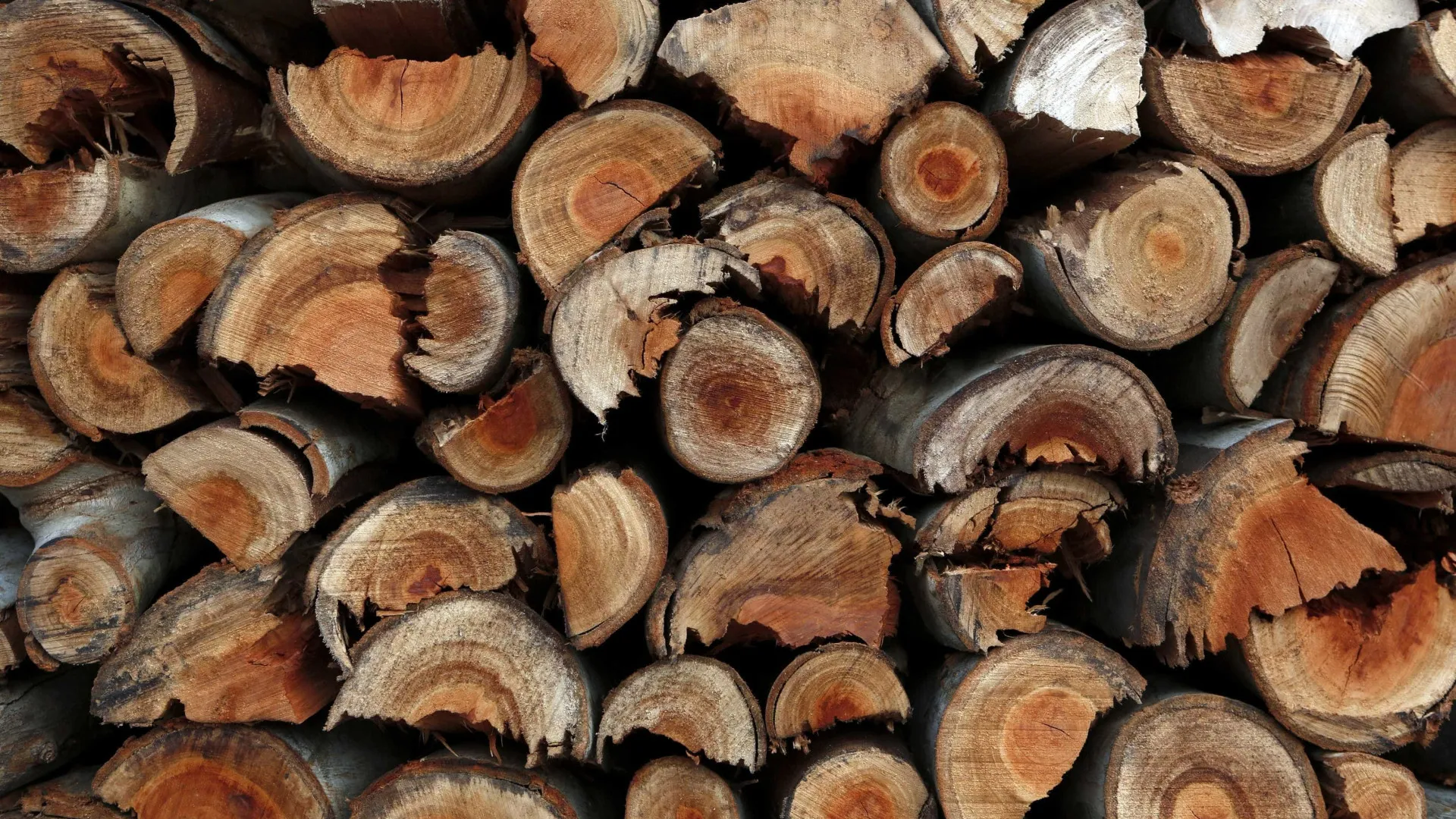 
                    Serviços Municipais tiram lenha dos incêndios do rio Caima em Albergaria
                