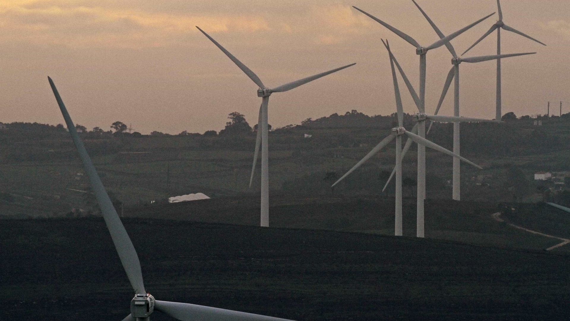 Energia eólica cresce, mas Portugal continua longe das metas climáticas