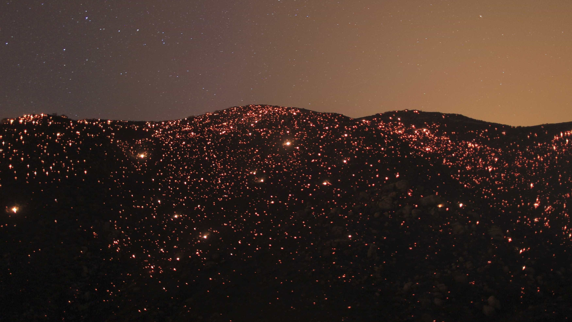 Hora do Planeta. Entre as 20h30 e 21h30, não se esqueça de apagar a luz