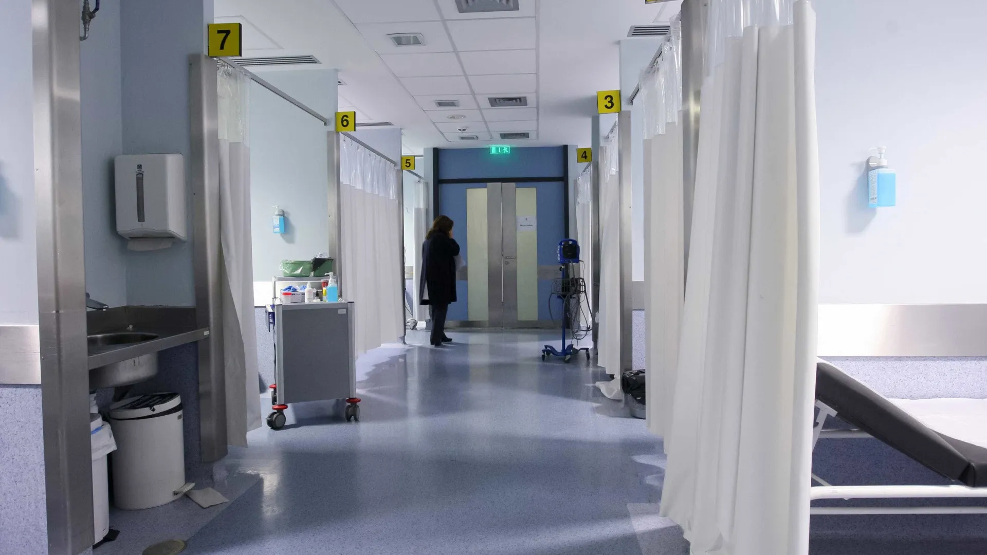 
                    Hospital de São João apela à doação renal em vida
                