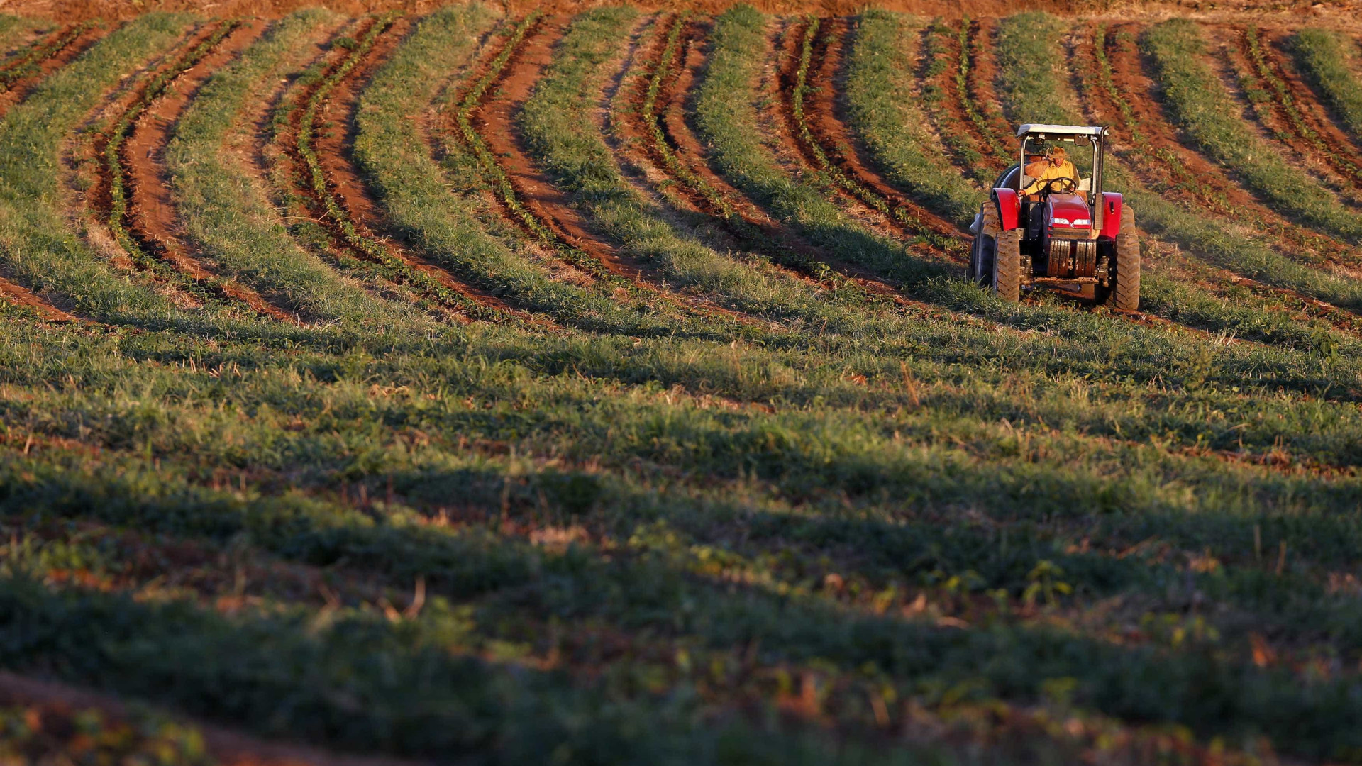 Produção agrícola portuguesa representa 2% do total da UE