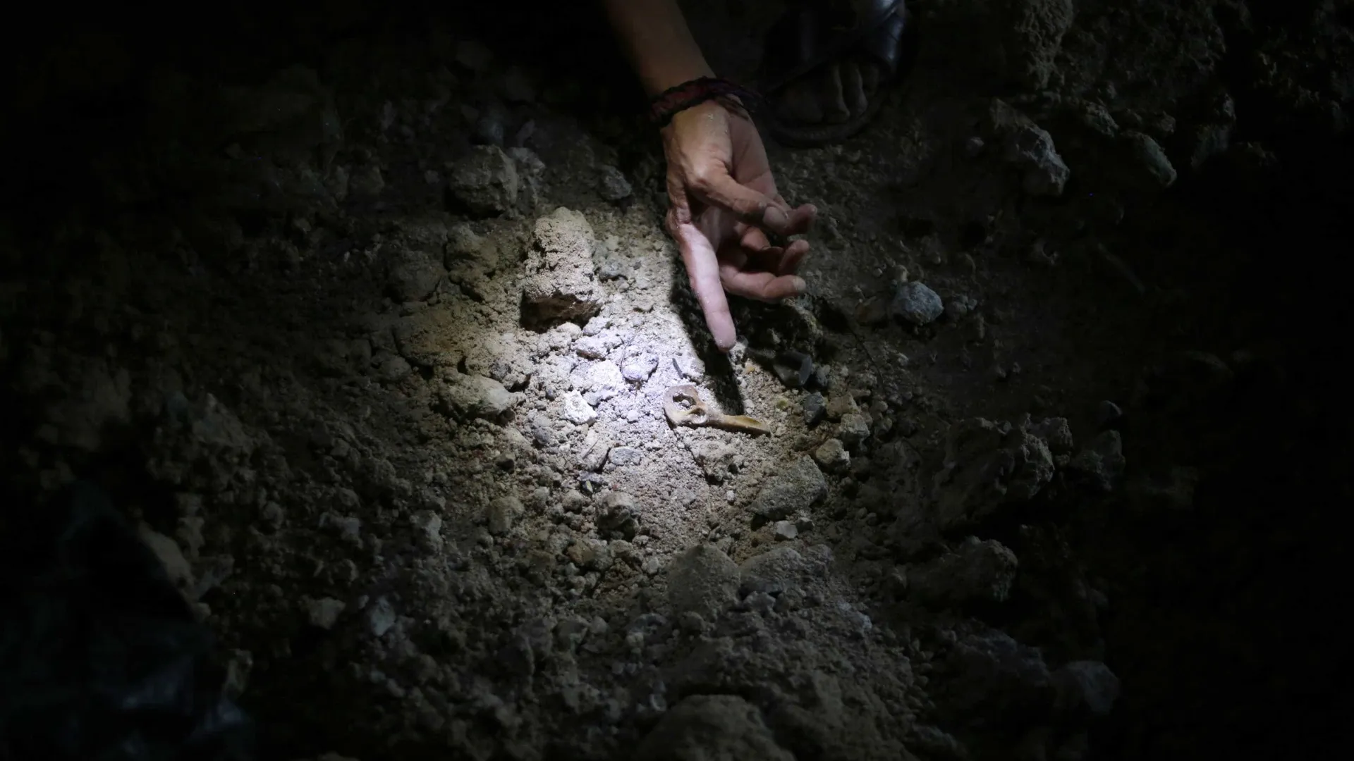 
                    Novas técnicas da paleontologia permitem autópsia de fósseis com milhões de anos
                