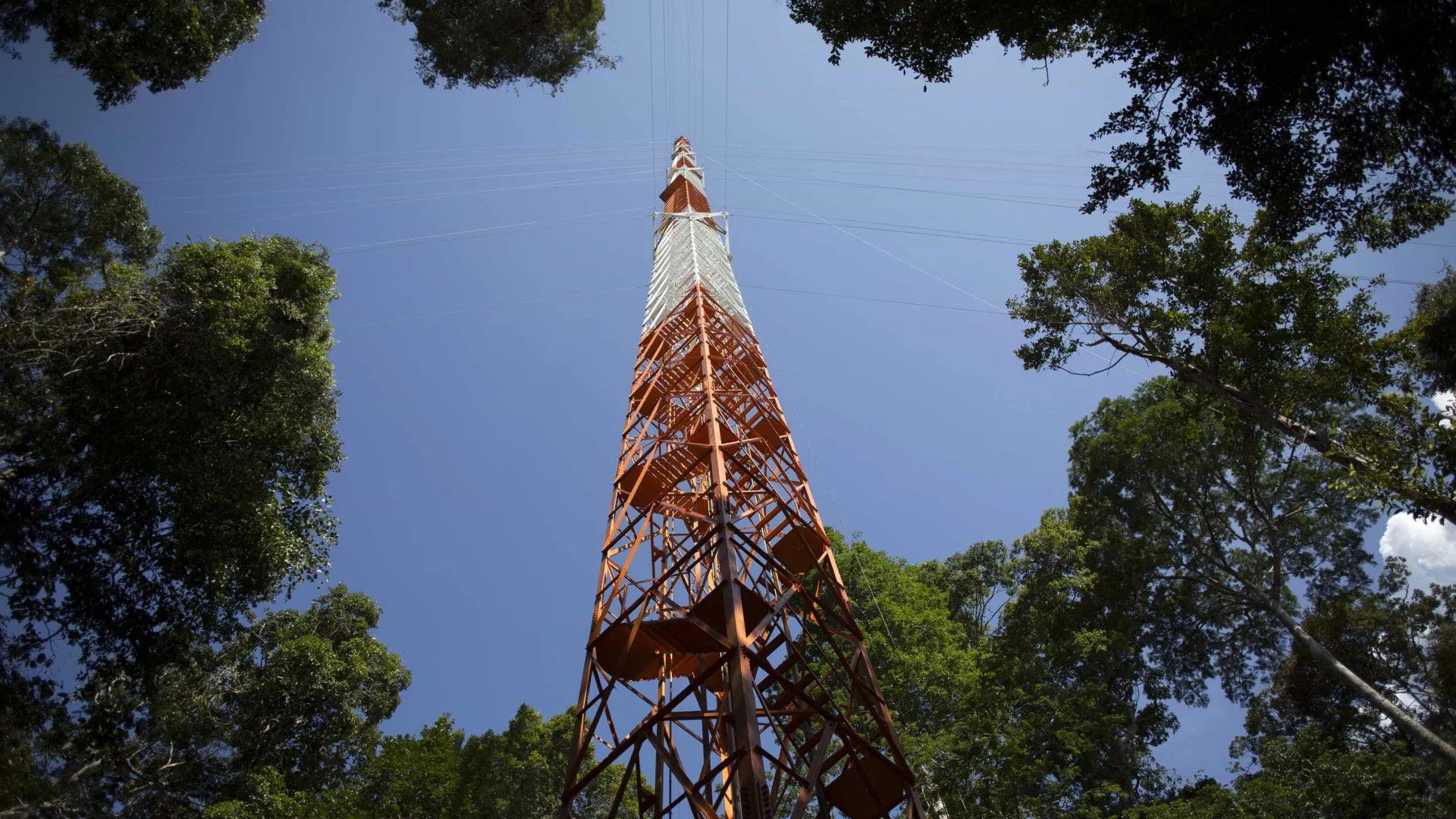 A torre gigante que observa a Amazónia